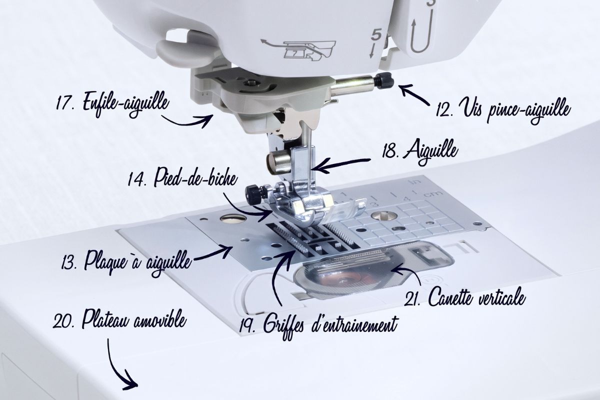 anatomie plaque aiguille machine coudre