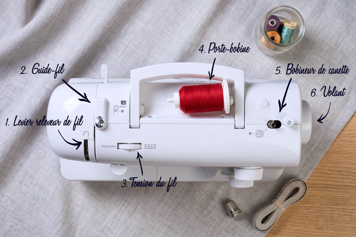 anatomie singer decorative vue dessus